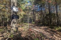 Land for sale in Fannin County, Georgia