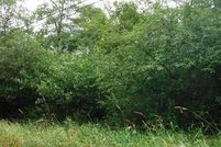 Land for sale in Pacific County, Washington