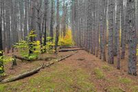 Undeveloped Land for sale in Wexford County, Michigan
