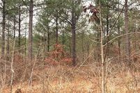 Homesite for sale in McCurtain County, Oklahoma