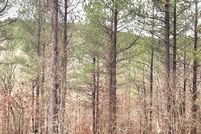 Land for sale in McCurtain County, Oklahoma