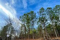 Timberland Property for sale in McCurtain County, Oklahoma