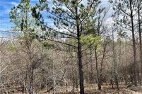 Undeveloped Land for sale in McCurtain County, Oklahoma