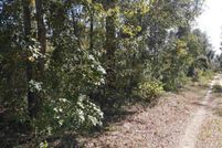 Land for sale in Hamilton County, Florida
