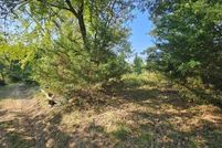 Undeveloped Land for sale in Anderson County, Texas