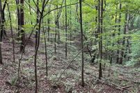 Undeveloped Land for sale in Gilmer County, Georgia