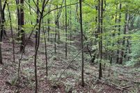 Recreational Property for sale in Pickens County, Georgia