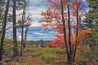 Land for sale in Hampden County, Massachusetts