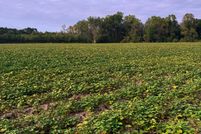 Land for sale in Johnston County, North Carolina