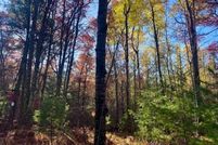 Land for sale in Oneida County, Wisconsin