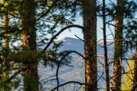 Land for sale in Colfax County, New Mexico