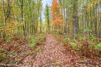 Land for sale in Osceola County, Michigan