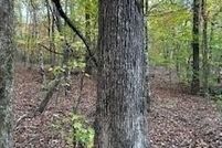 Land for sale in Lafayette County, Mississippi