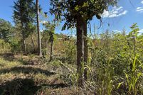 Farm and Ranch for sale in McNairy County, Tennessee