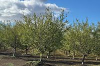 Land for sale in Sutter County, California