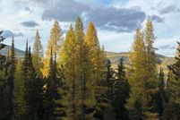 Undeveloped Land for sale in Lincoln County, Montana