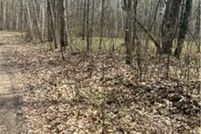 Undeveloped Land for sale in Morrison County, Minnesota