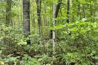 Farm and Ranch for sale in Morrison County, Minnesota