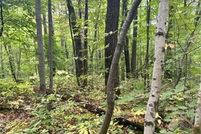 Homesite for sale in Morrison County, Minnesota