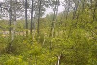 Undeveloped Land for sale in Morrison County, Minnesota