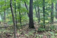 Land for sale in Morrison County, Minnesota