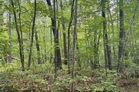 Land for sale in Morrison County, Minnesota