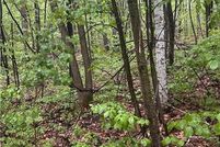 Recreational Property for sale in Morrison County, Minnesota