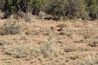 Land for sale in Navajo County, Arizona