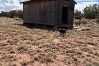 Land for sale in Navajo County, Arizona