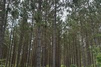 Undeveloped Land for sale in Oneida County, Wisconsin