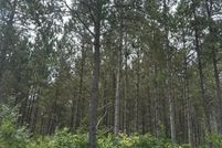 Land for sale in Oneida County, Wisconsin