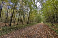 Land for sale in Taylor County, Wisconsin