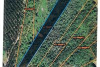 Undeveloped Land for sale in Colleton County, South Carolina