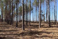 Land for sale in Cass County, Texas