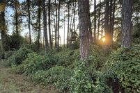 Land for sale in Santa Rosa County, Florida