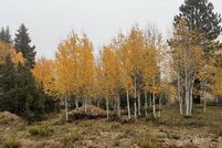 Land for sale in Kane County, Utah