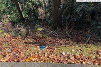 Undeveloped Land for sale in Watauga County, North Carolina