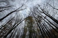 Land for sale in Wayne County, Pennsylvania