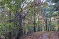 Undeveloped Land for sale in Union County, Georgia