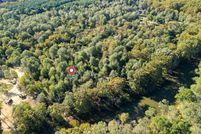 Farm and Ranch for sale in Marion County, Texas