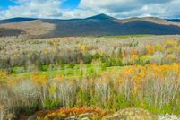 Undeveloped Land for sale in Windham County, Vermont