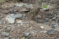 Undeveloped Land for sale in White County, Arkansas