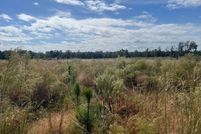 Undeveloped Land for sale in Suwannee County, Florida
