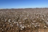 Land for sale in Lubbock County, Texas