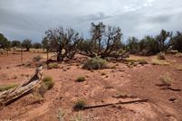 Undeveloped Land for sale in Navajo County, Arizona