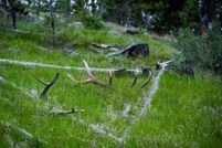 Undeveloped Land for sale in Grant County, Oregon