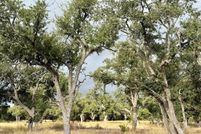 Land for sale in Gillespie County, Texas