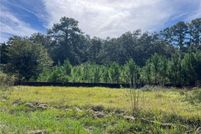 Timberland Property for sale in Glynn County, Georgia