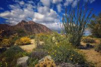 Land for sale in San Diego County, California