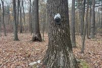 Recreational Property for sale in Huntingdon County, Pennsylvania